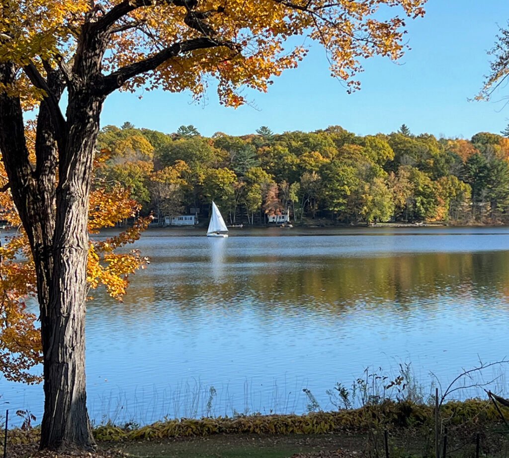 Sailing on the pond.